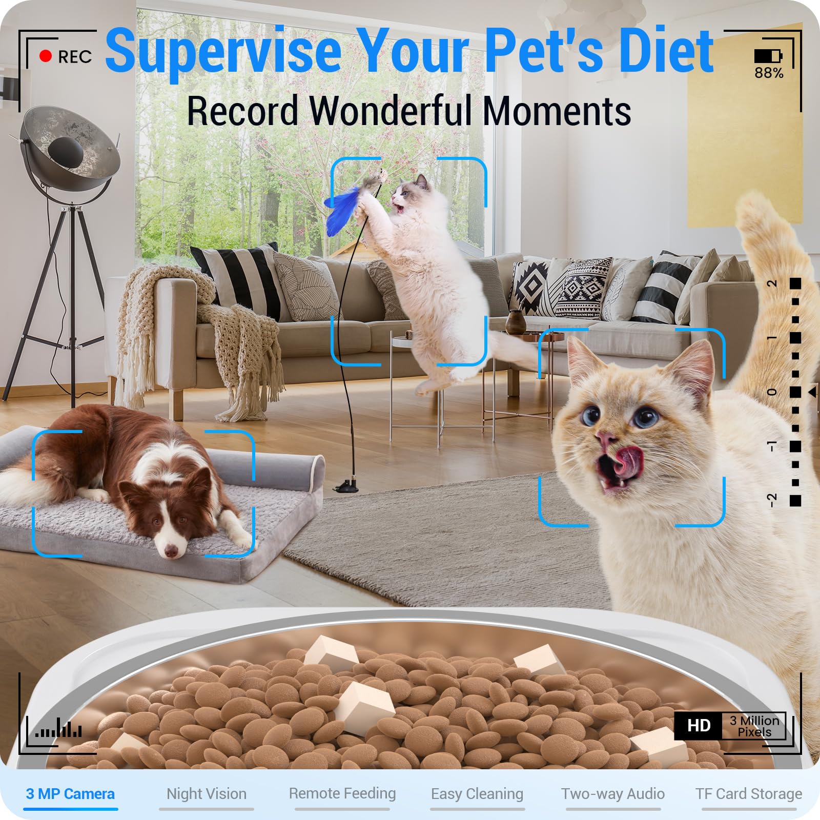 Frienhund feeder camera view for real-time pet monitoring.