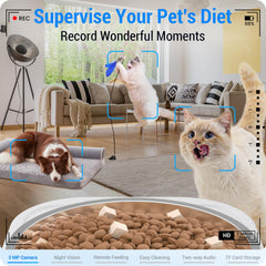 Frienhund feeder camera view for real-time pet monitoring.