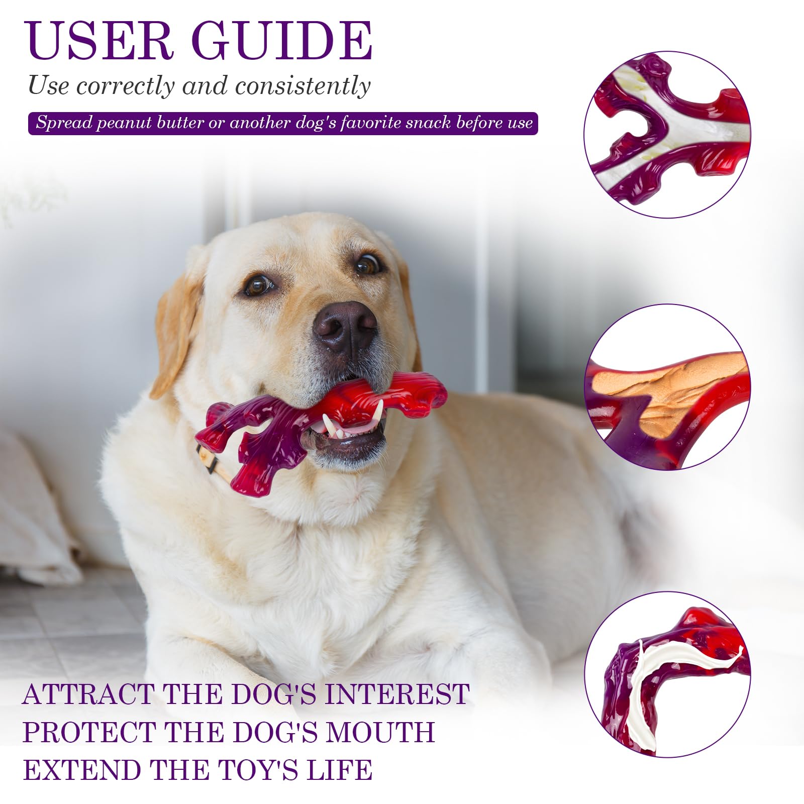 Frienhund indestructible chew bone large-dog play demonstrates active chewing