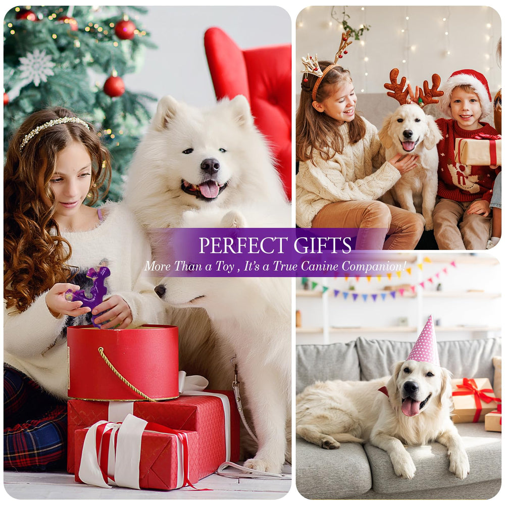 Frienhund large-dog chew toy supports safe teething and interactive fun.