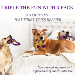 Frienhund tough nylon chew toy endures rough sessions for large dogs.