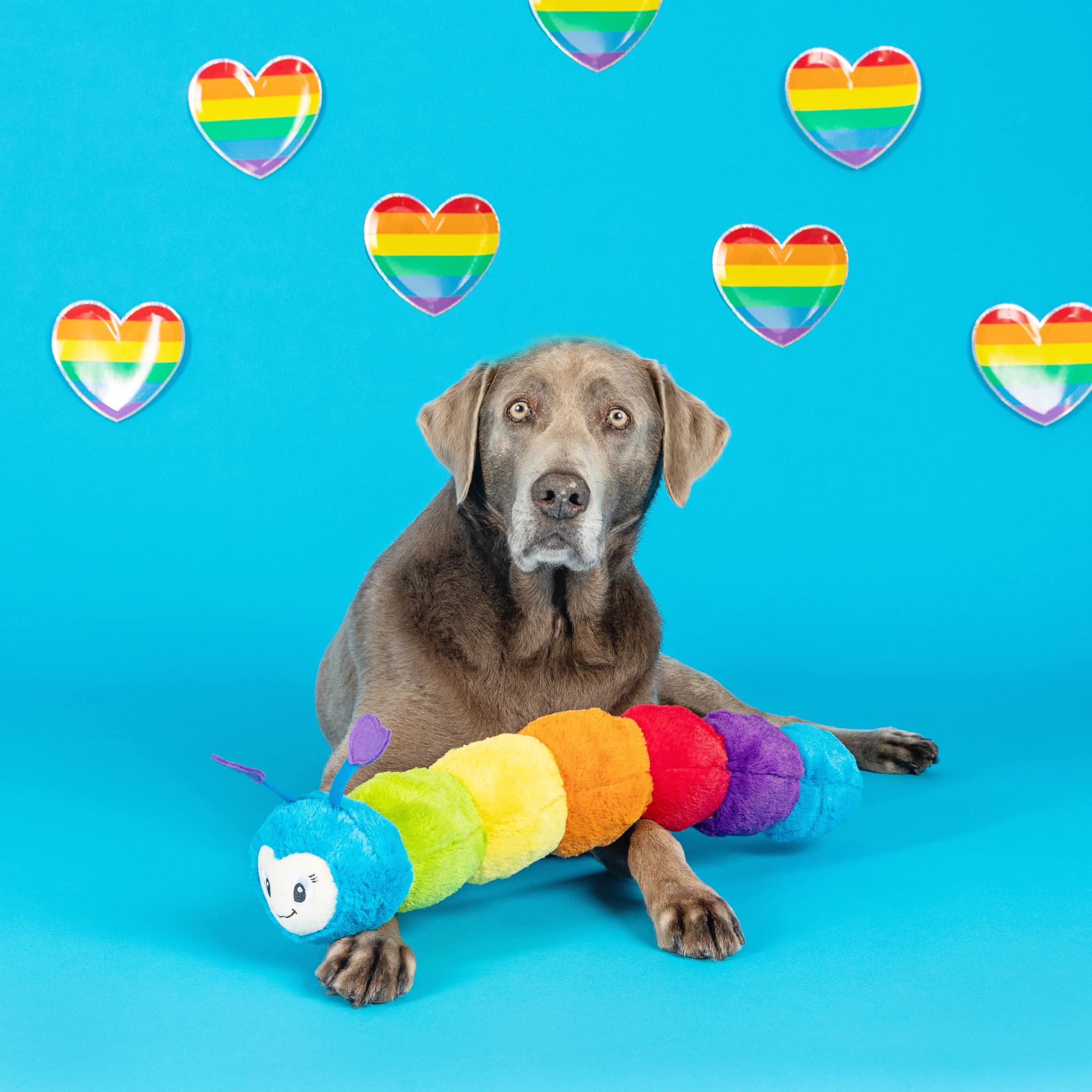 Fringe Don't Bug Me plush dog toy featuring soft fluff for cuddly, gentle play.