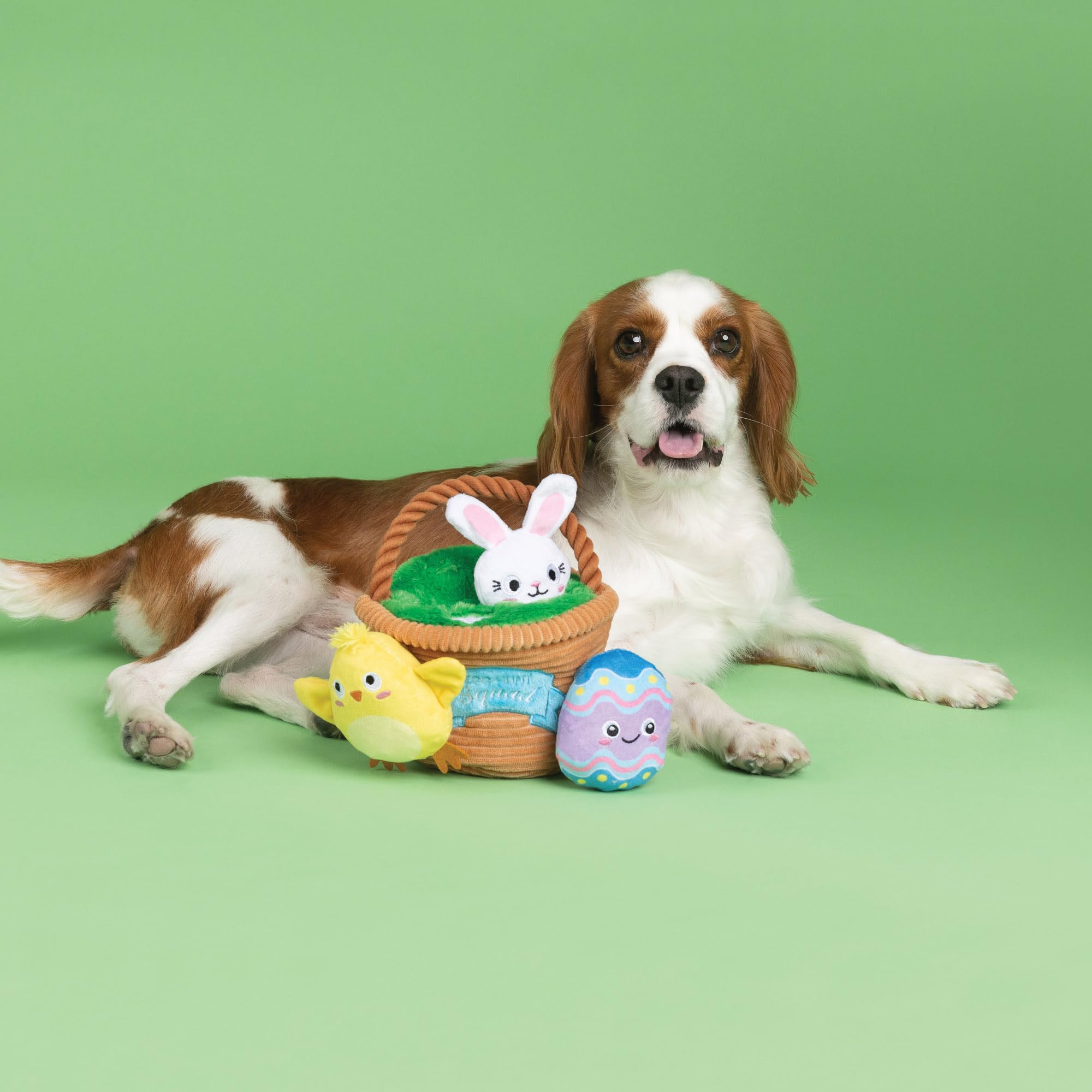 Fringe Egg Hunt mini bunny toy delivers squeaks for lively chase sessions.