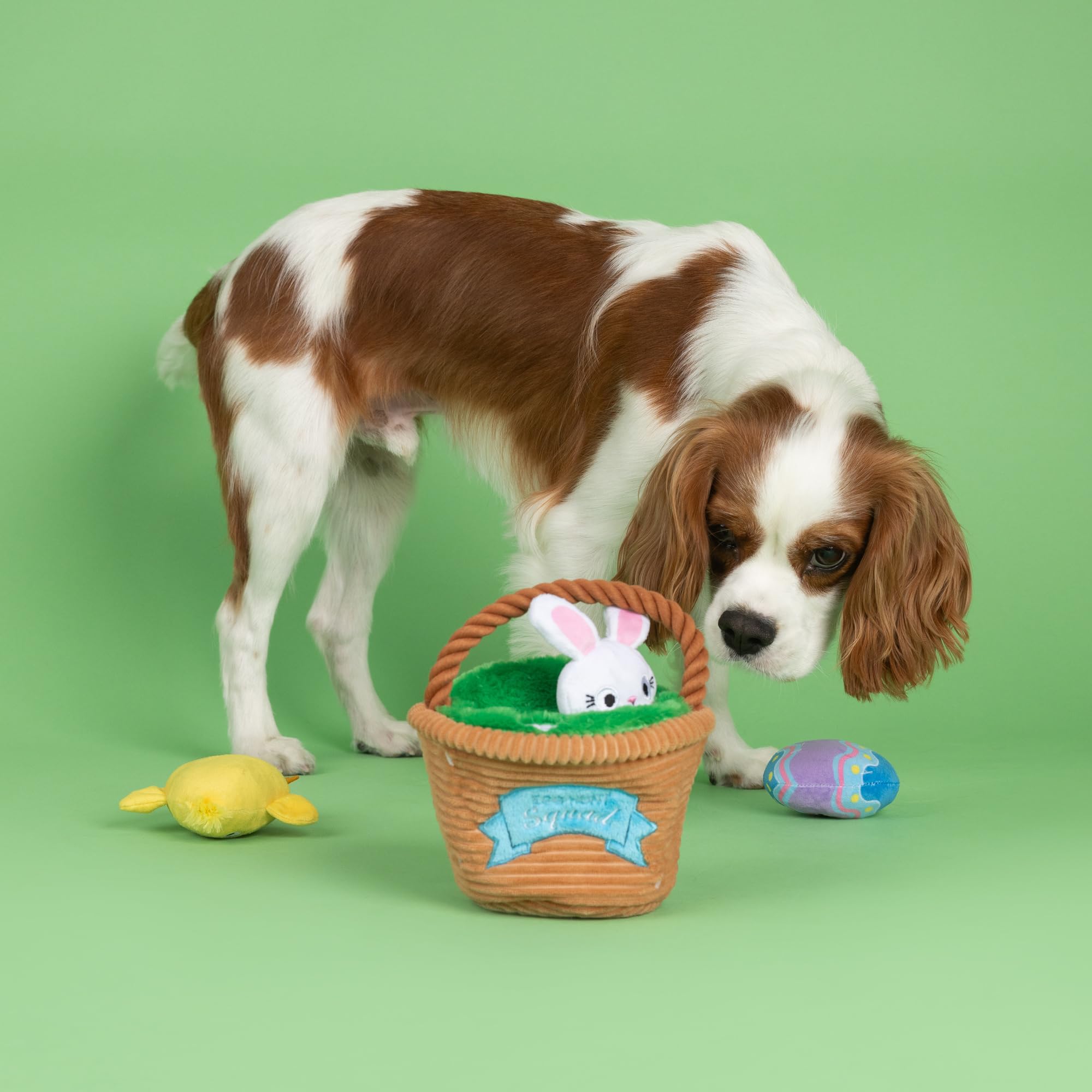 Fringe Egg Hunt mini chick toy sparks hide-and-seek fun with squeaks.