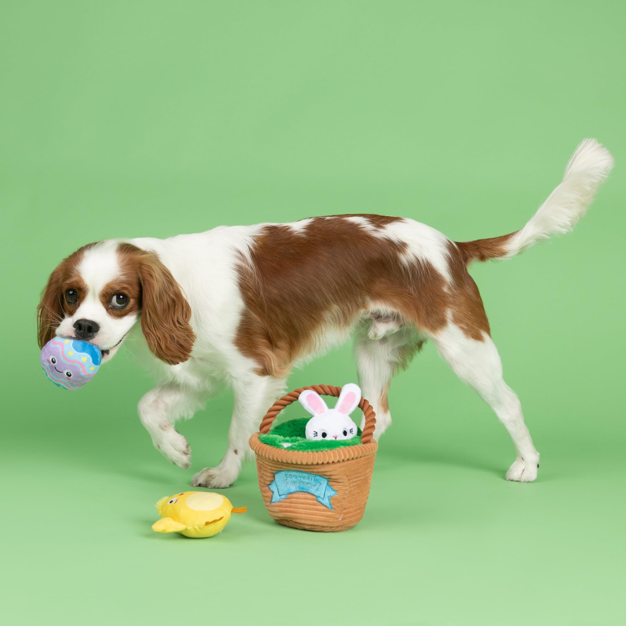 Fringe Egg Hunt rope-burrow toy invites tug-and-pull play.