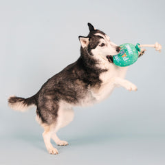 Fringe I Pawty You Pawty toy suitable for dogs of all sizes.