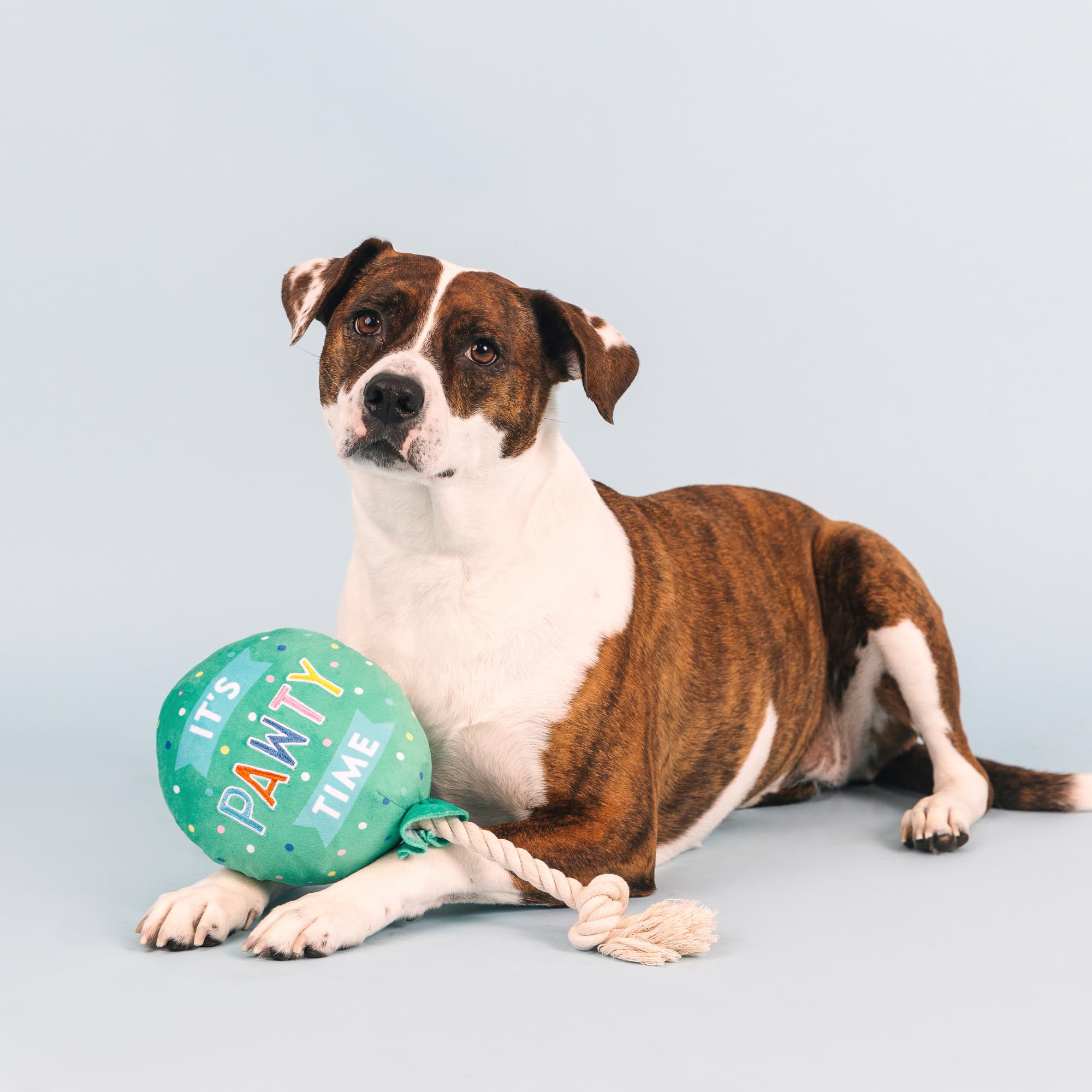 Fringe I Pawty You Pawty rope tug for engaging fetch routines.
