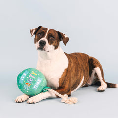 Fringe I Pawty You Pawty rope tug for engaging fetch routines.