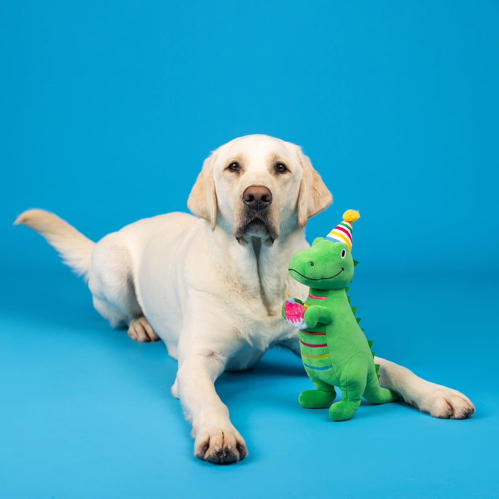 Fringe I’M How Old? plush dog toy with crinkle paper for sensory play.