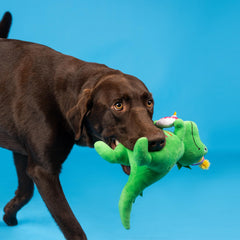 Fringe I’M How Old? plush dog toy sized for large dogs, 13.5 inches.