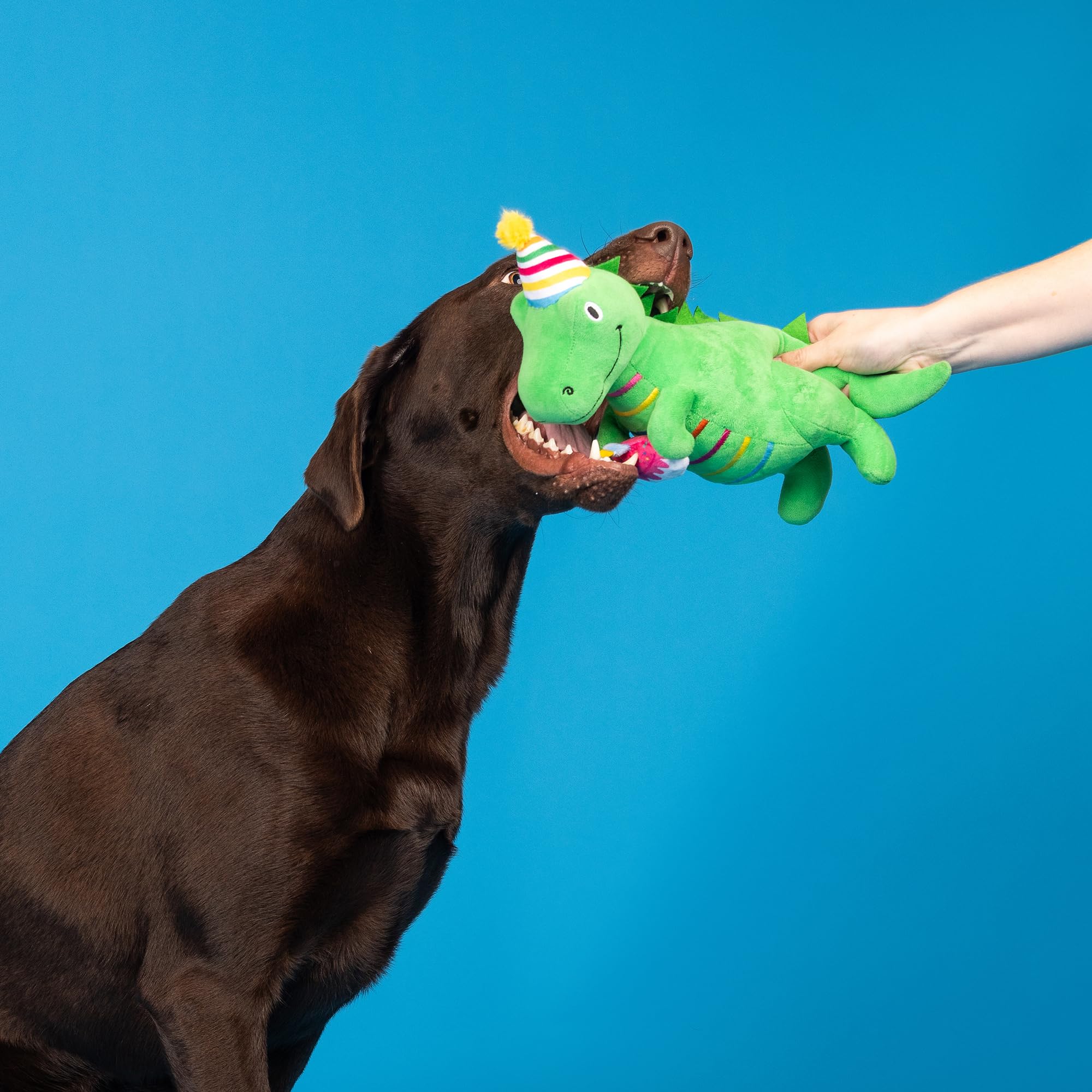 Fringe I’M How Old? plush dog toy ideal for interactive fetch and play.