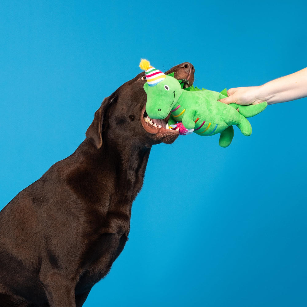 Fringe I’M How Old? plush dog toy ideal for interactive fetch and play.