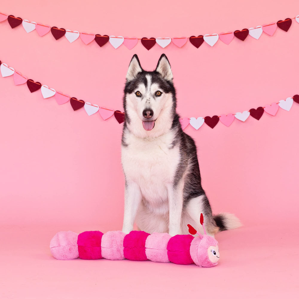 Fringe Love Bug in play pose demonstrates size for dogs of all sizes.