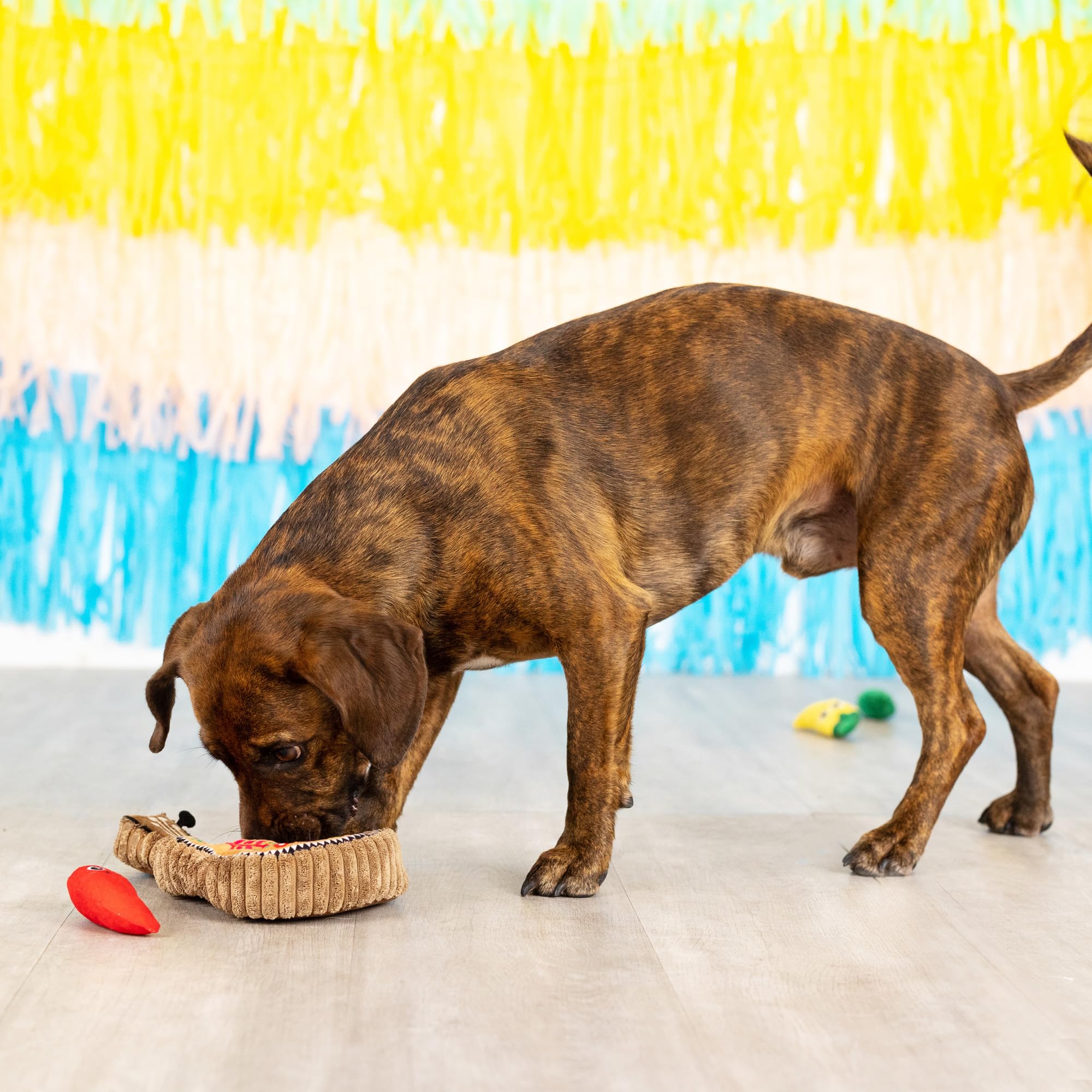 Fringe Studio Fiesta burrow set suitable for small to medium dogs.