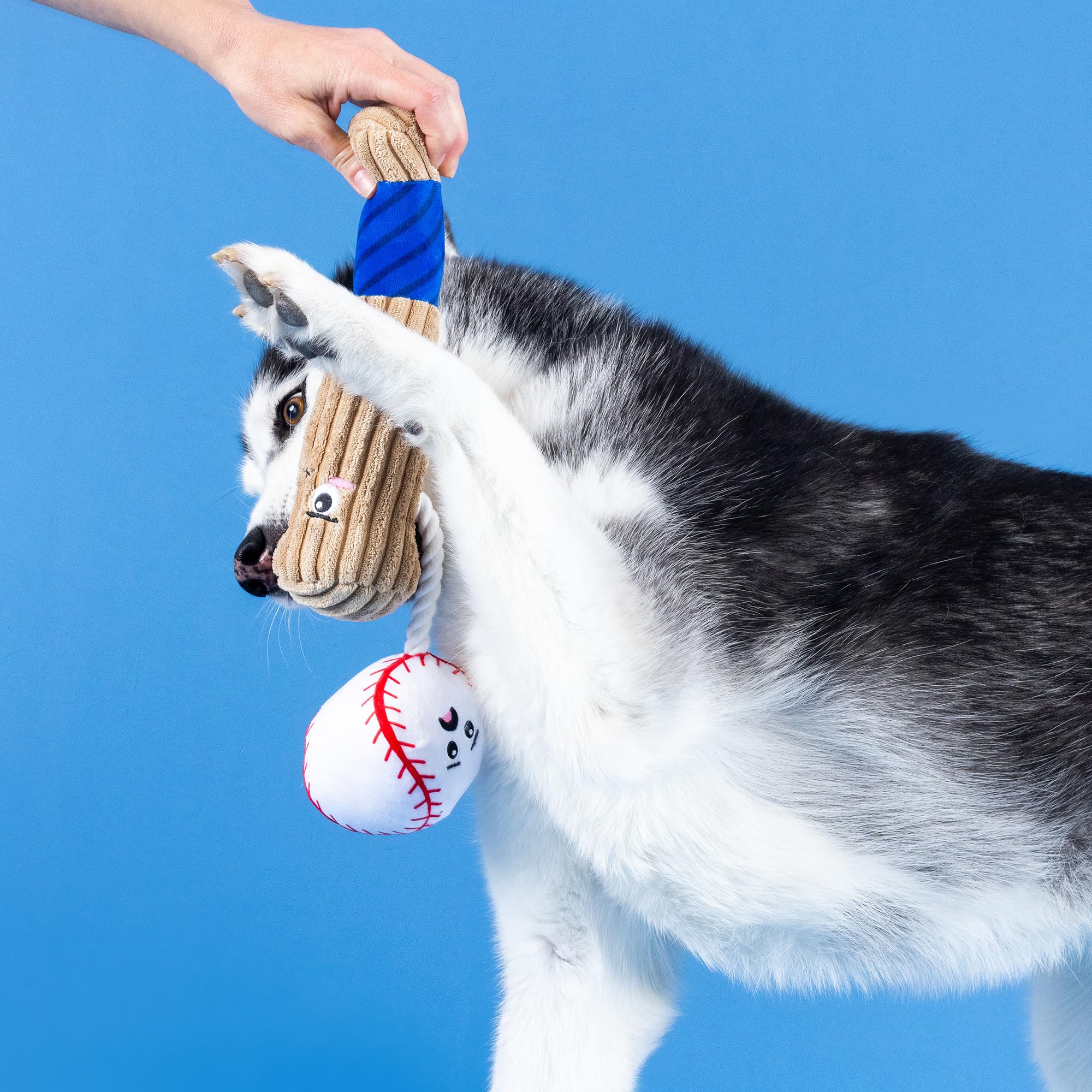 Fringe Studio Baseball squeaker; keeps dogs engaged during active play and chasing games.