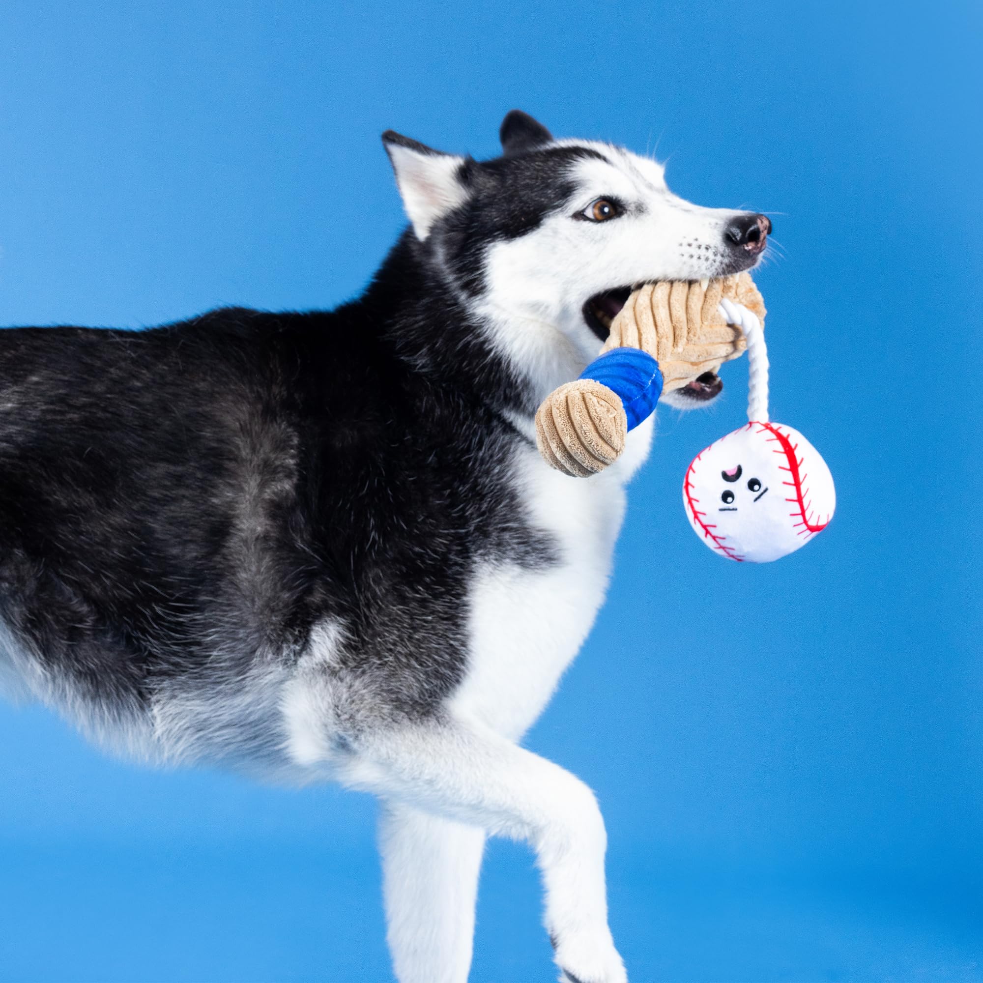 Fringe Studio Crinkle interior toy; adds rustling sensation during chew and fetch sessions.