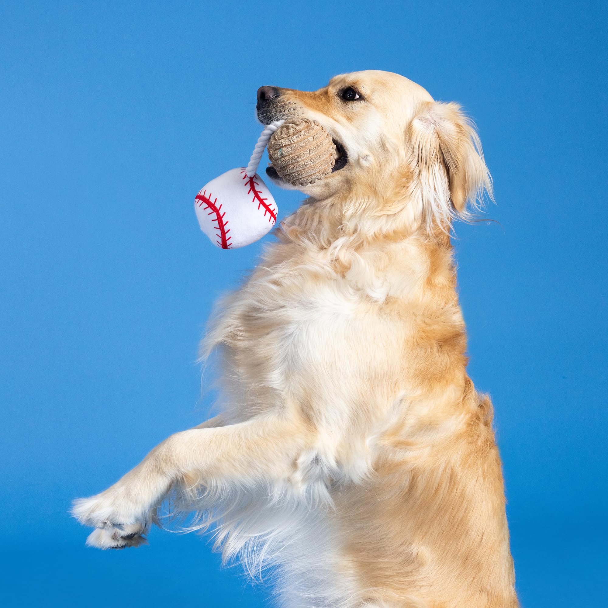 Fringe Studio Size 10.5 inches; ideal for medium to large dogs and versatile play.