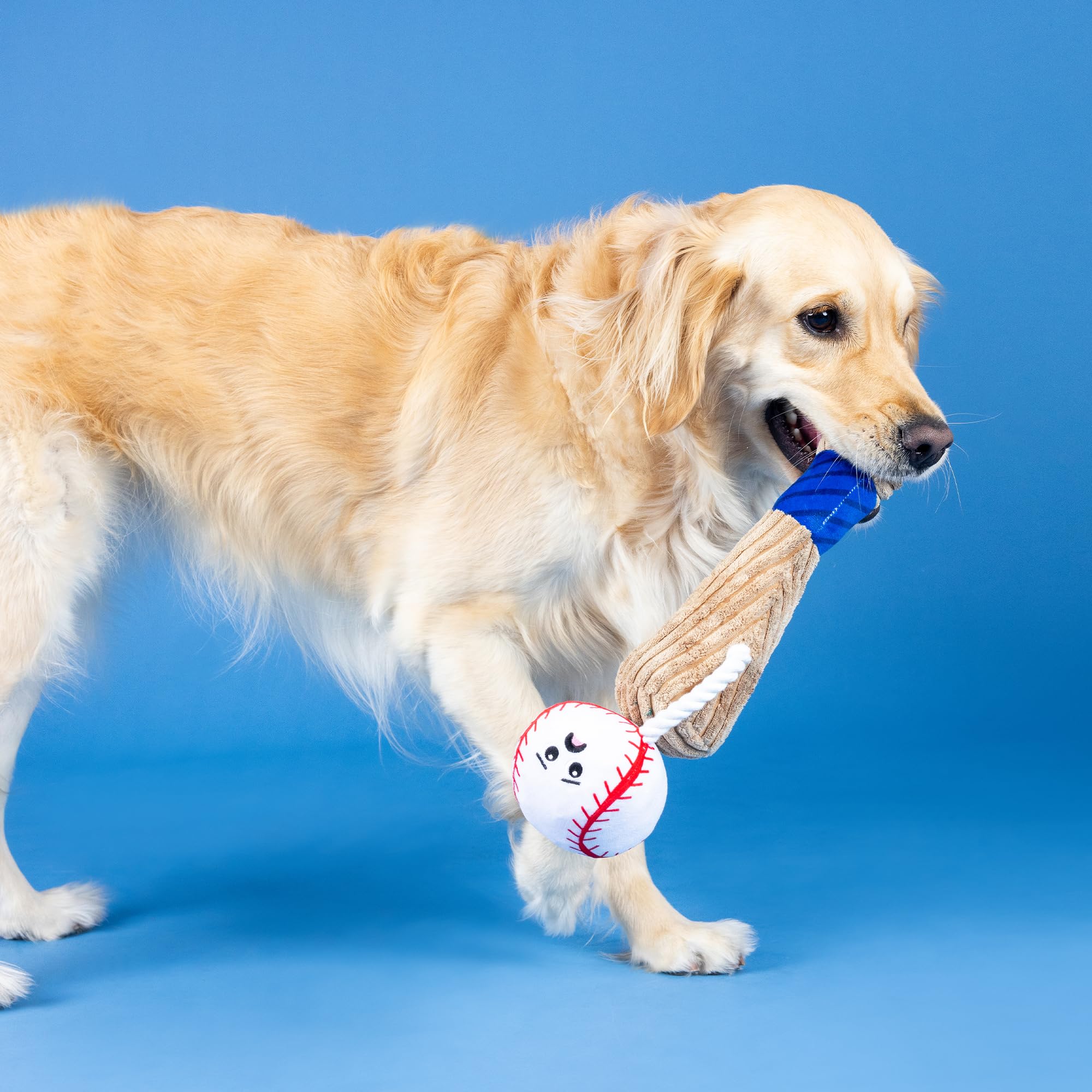 Fringe Studio Plush dog toy; interactive features boost playtime variety and mental stimulation.