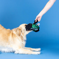 Fringe Studio plush dog toy squeaker adds excitement during play sessions.