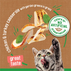Friskies aroma-gravy-wet-cat-food close-up, inviting aroma at mealtimes.