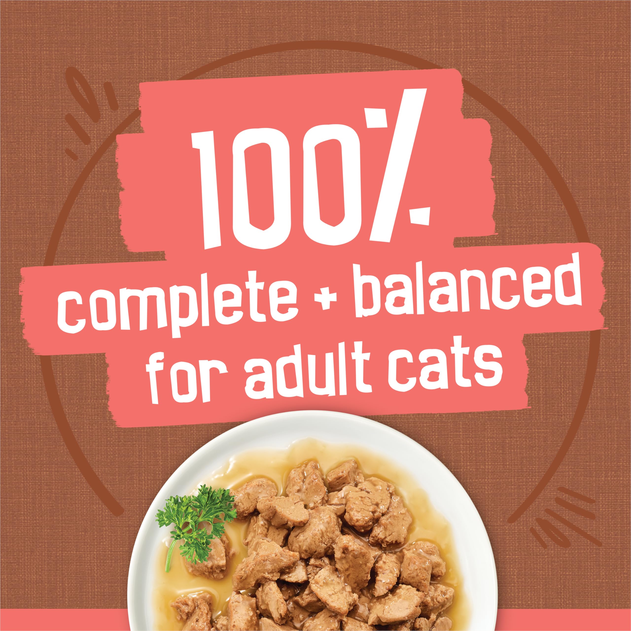 Friskies aroma invites cat to eat, encouraging positive feeding moments.