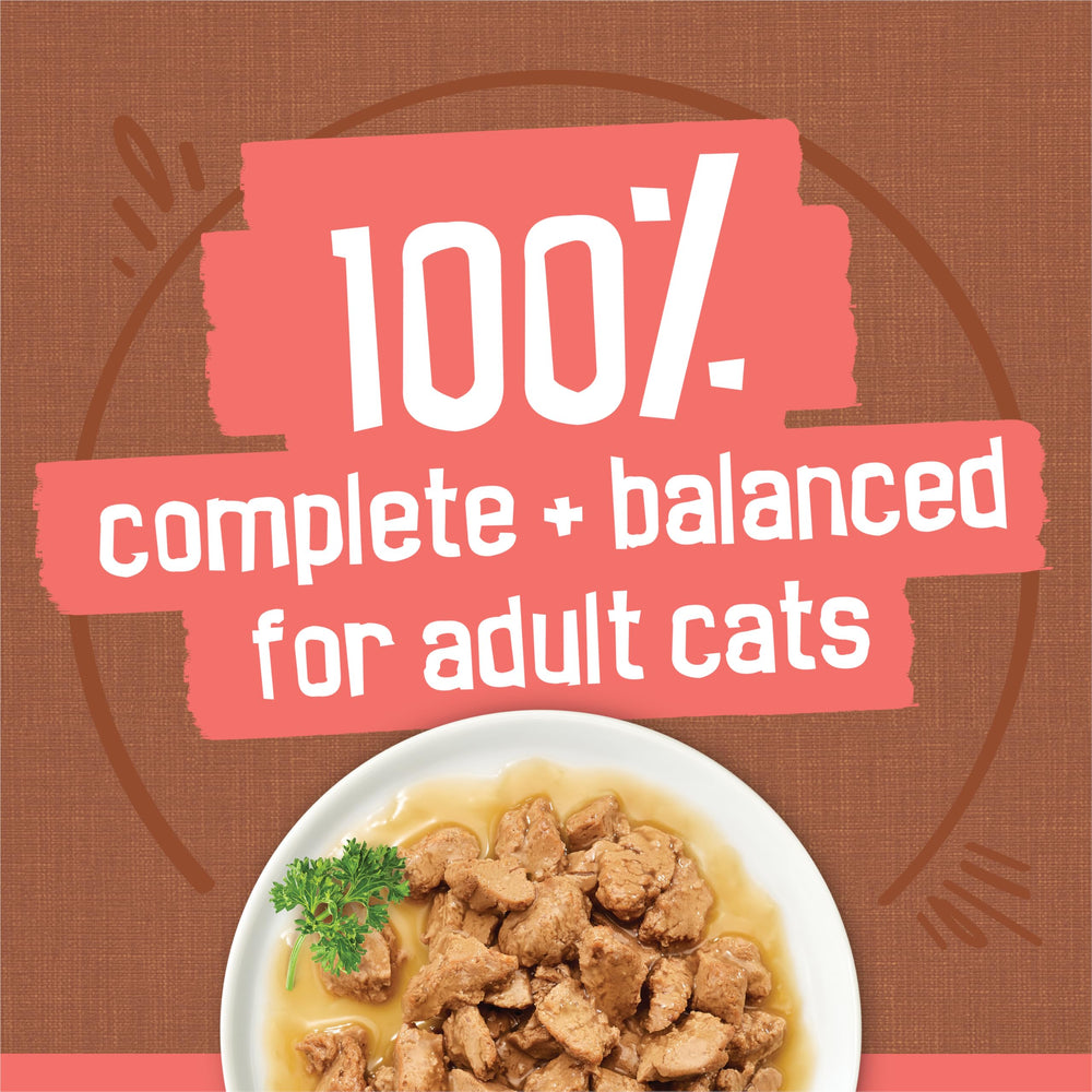 Friskies aroma invites cat to eat, encouraging positive feeding moments.