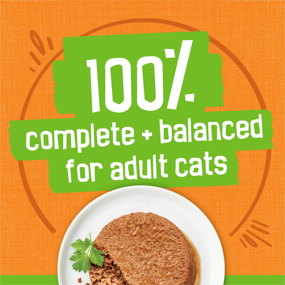 Friskies Cat enjoying pate meal reflects satisfying, flavorful dining.