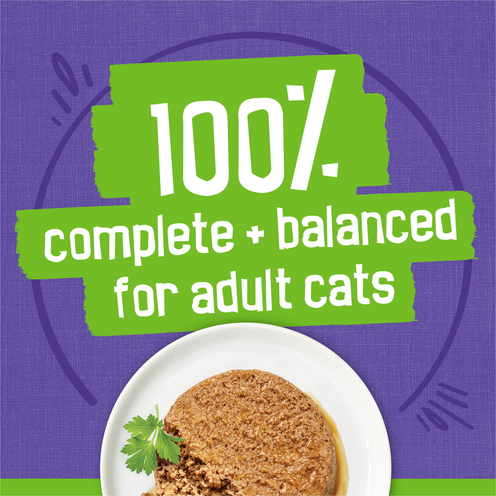 Friskies Cat Enjoying Pate Meal — contented feline during feeding.