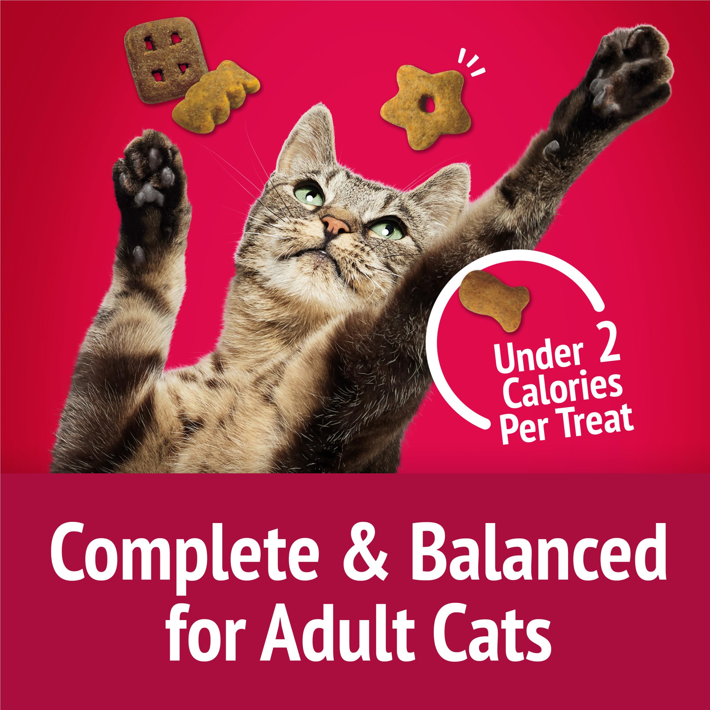 Cat enjoys treats during cuddle time, showcasing Friskies reward moments.