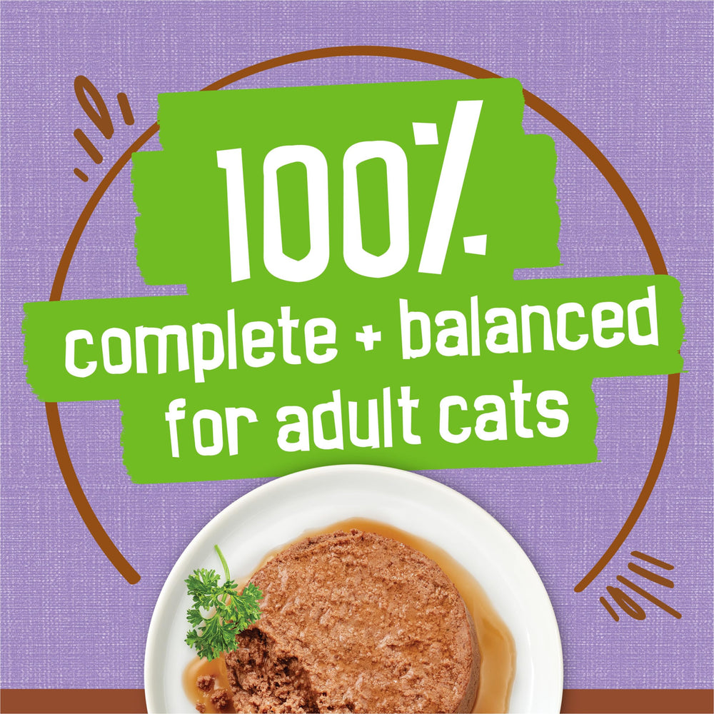 Friskies cat enjoying meal time, anticipation at the bowl