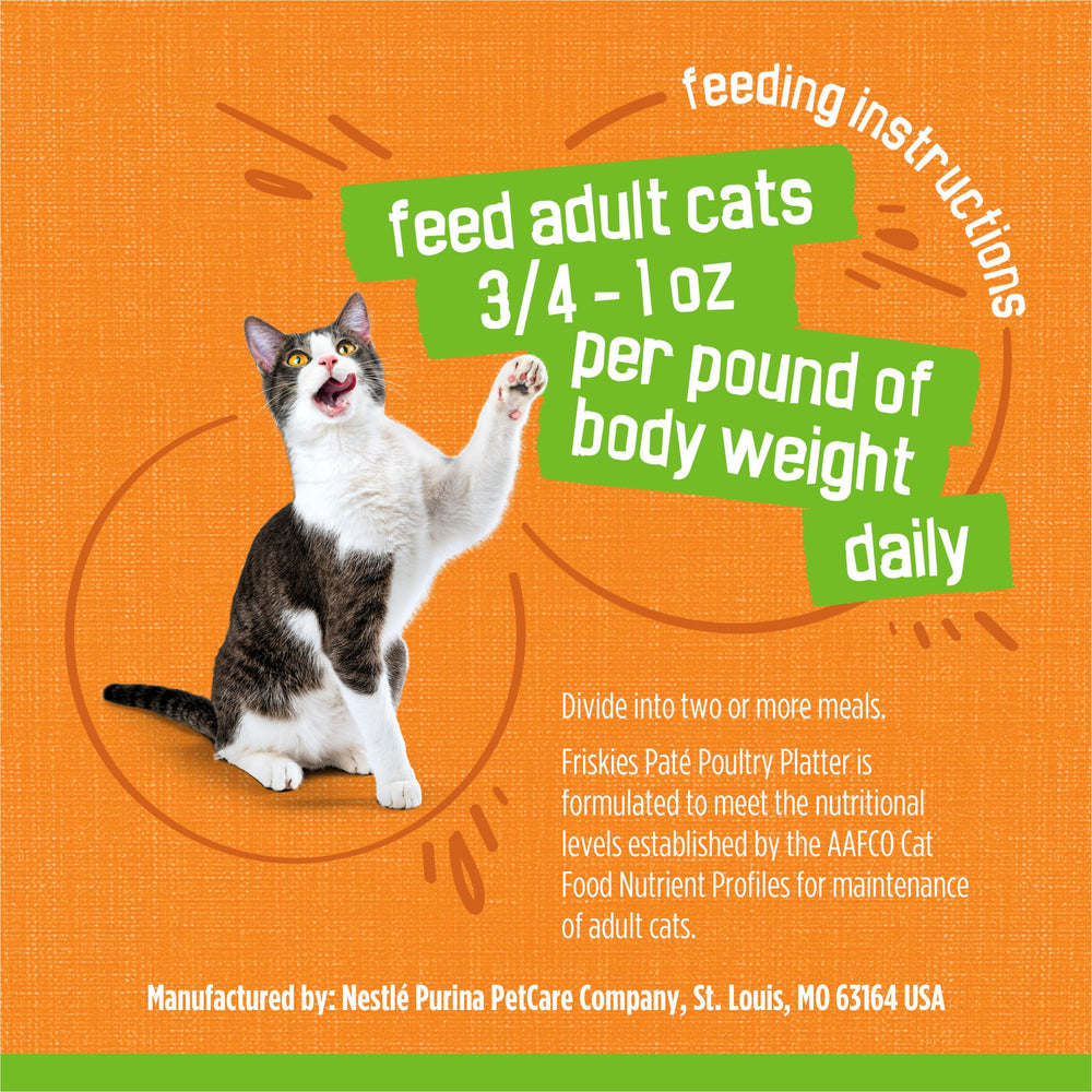 Friskies Cat mealtime scene captures moisture-rich pate experience.