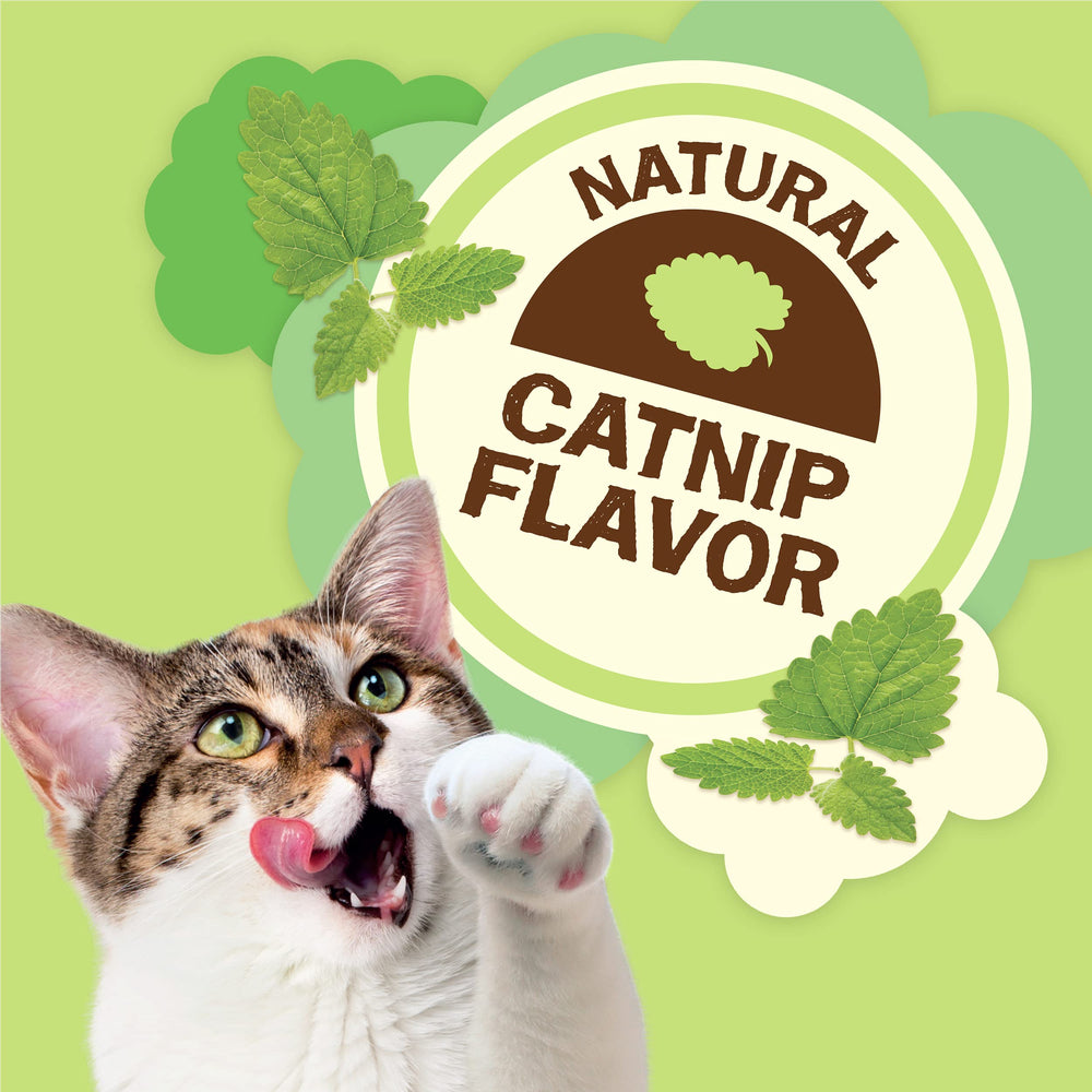 Friskies catnip flavor closeup highlighting enticing aroma for cats.