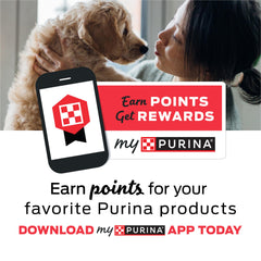 Crunchy texture shown to suggest satisfying nibble moments with Friskies.
