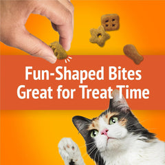 Friskies crunchy-texture close-up highlights shapes that invite paws and play.