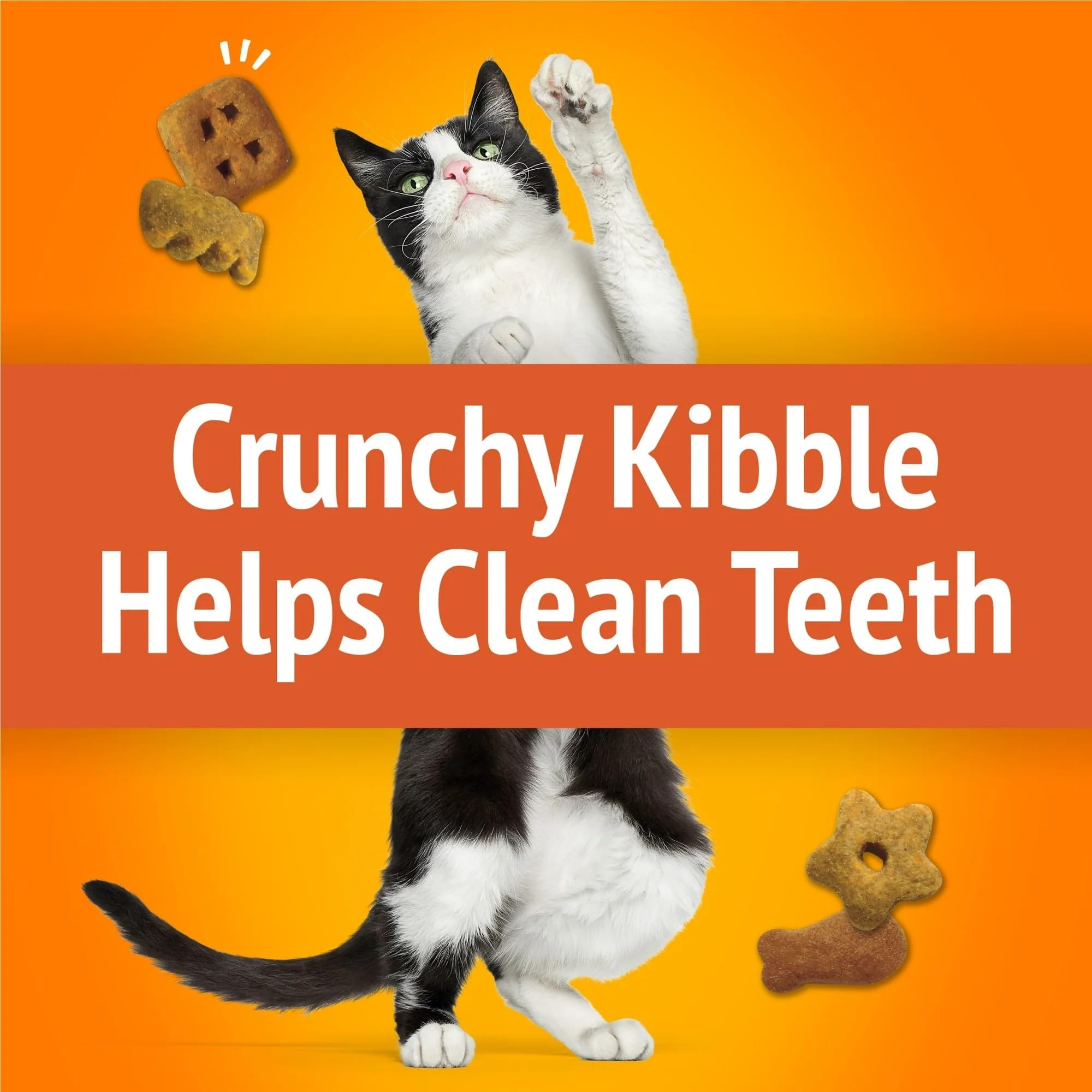 Friskies interactive-playtime shapes encourage pawing and curiosity during snacks.
