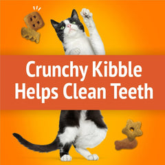 Friskies interactive-playtime shapes encourage pawing and curiosity during snacks.