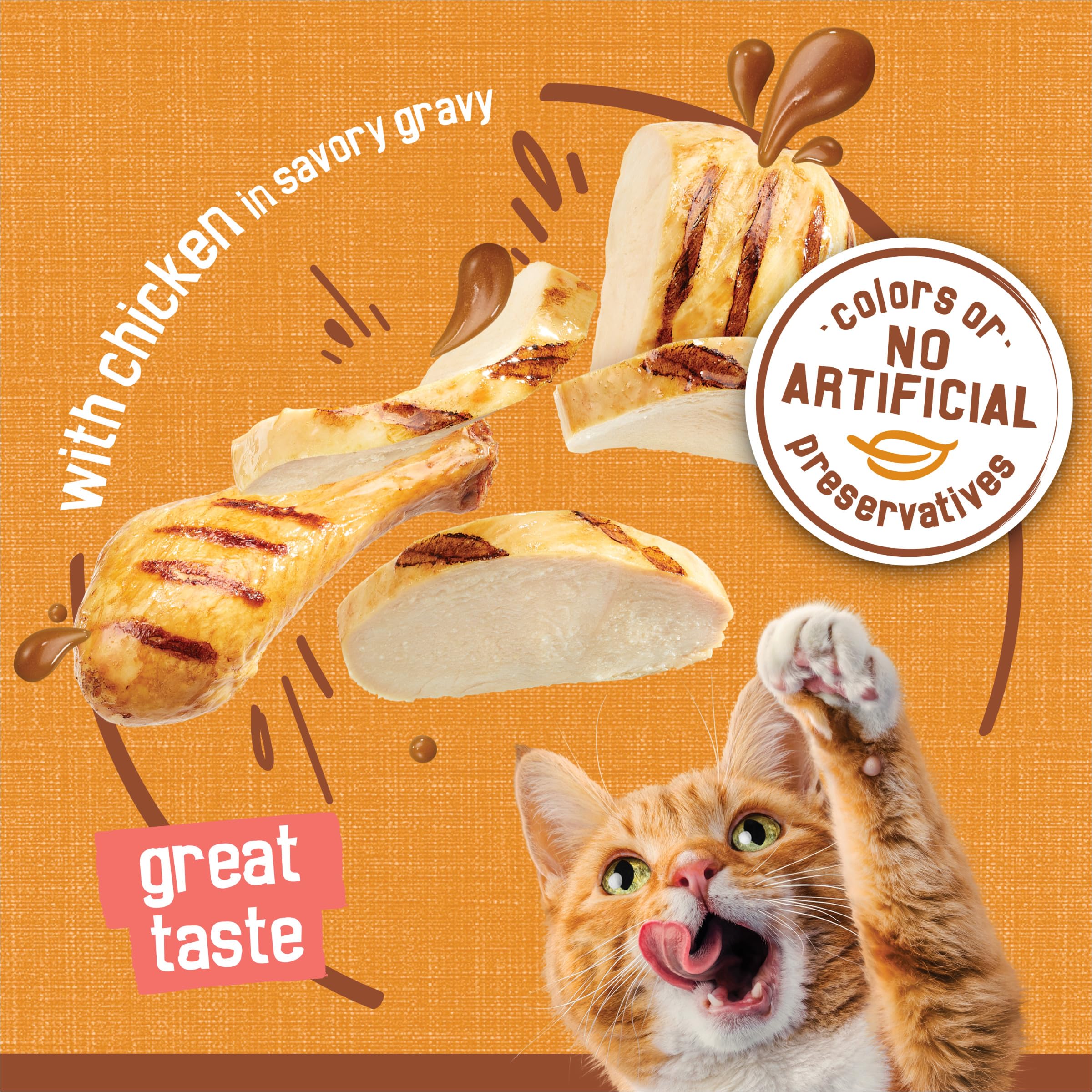 Purina Friskies Extra Gravy cans in recyclable packaging.