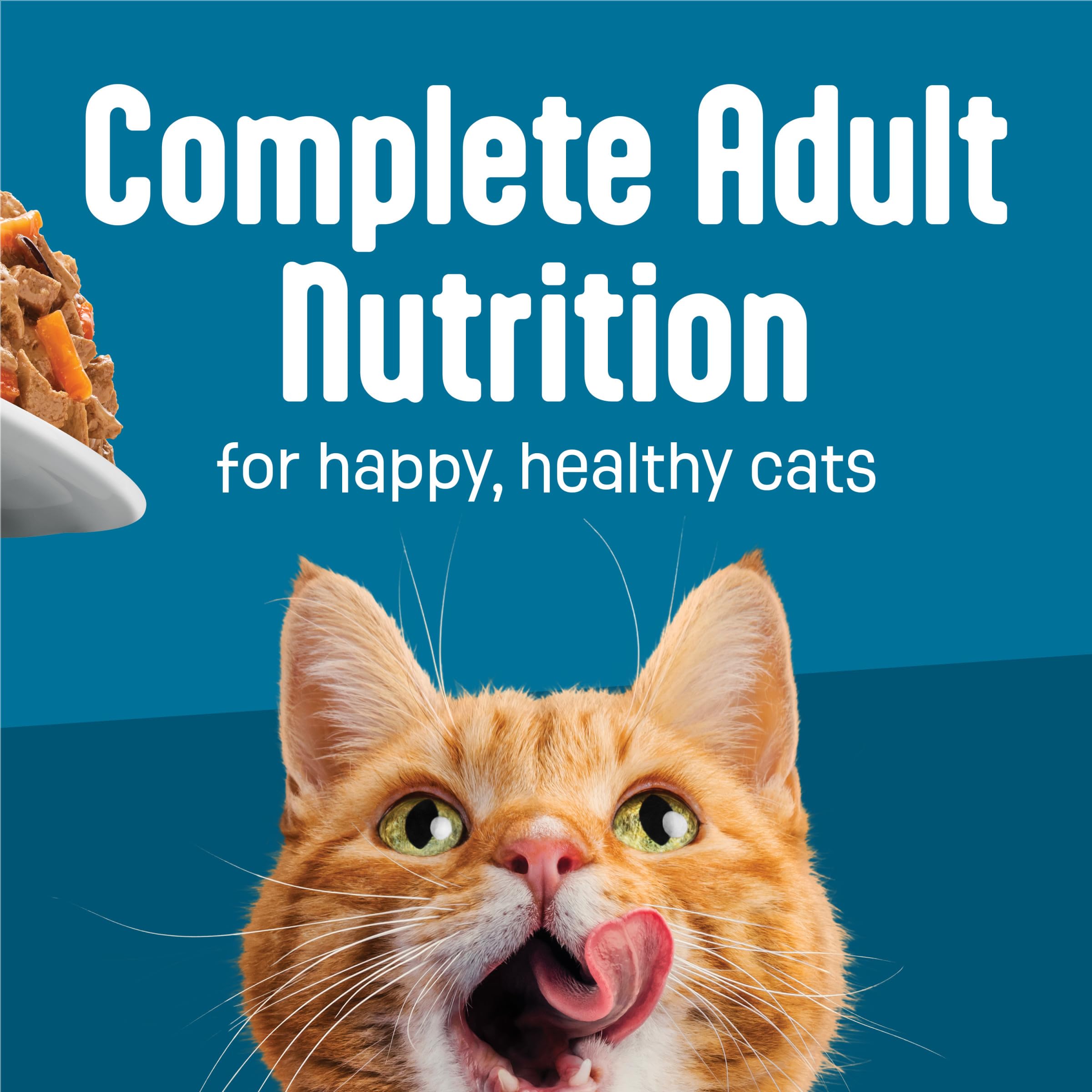Friskies Fully Load’d ready-to-serve bowl ready for mealtime.