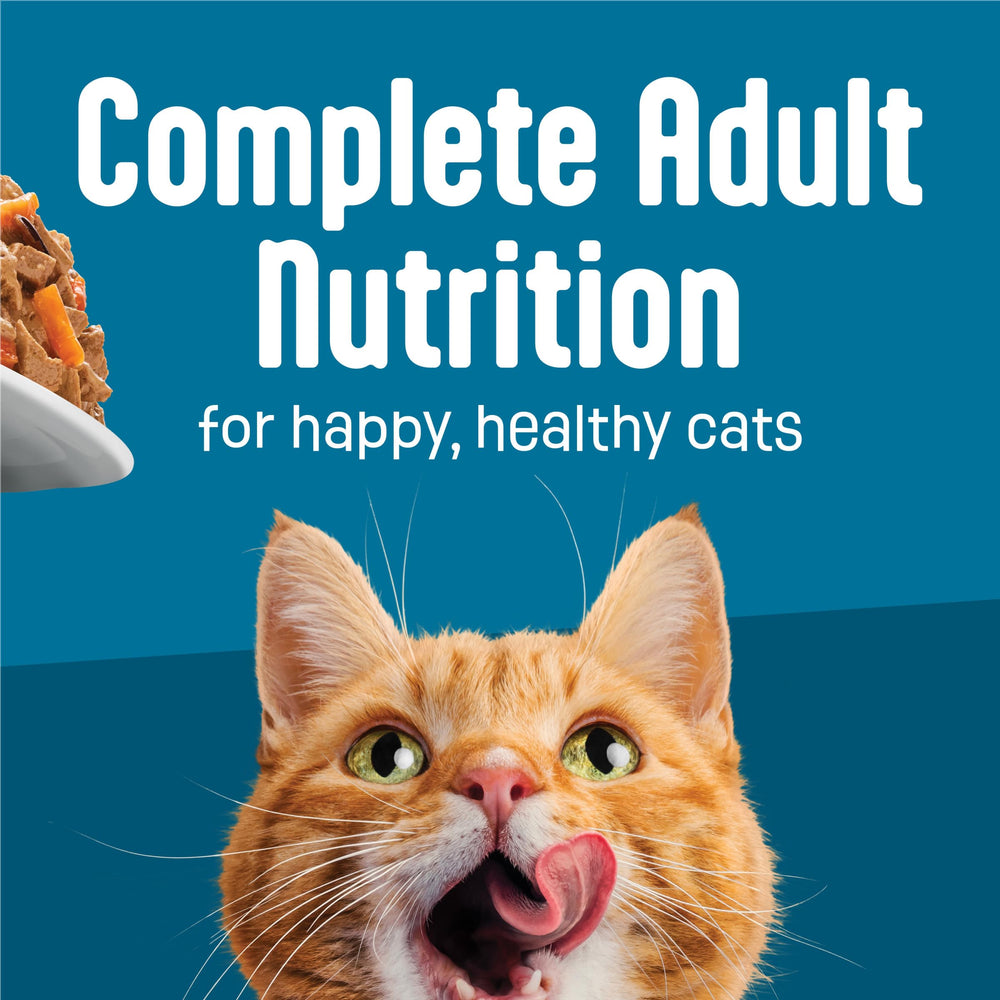 Friskies Fully Load’d ready-to-serve bowl ready for mealtime.