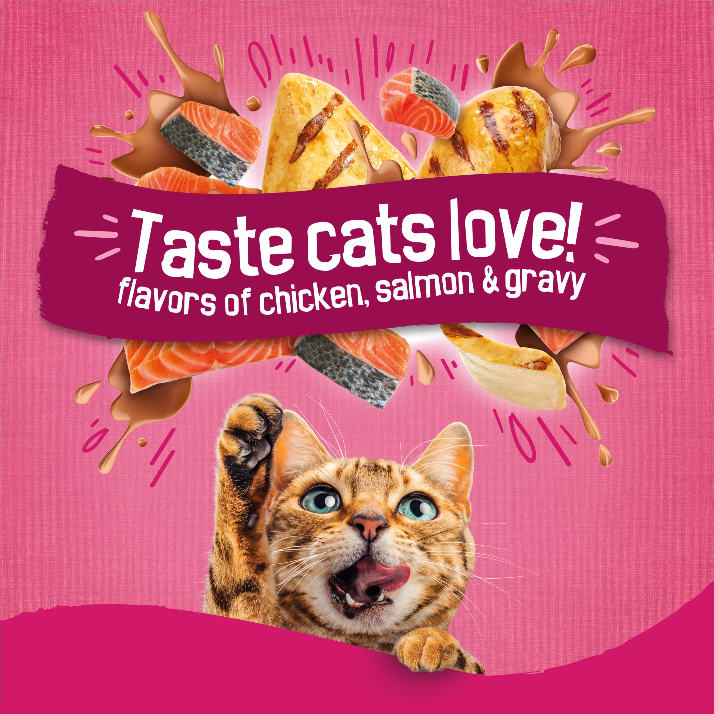 Friskies Gravy Swirlers 16lb bag showcases value and complete nutrition for cat meals.