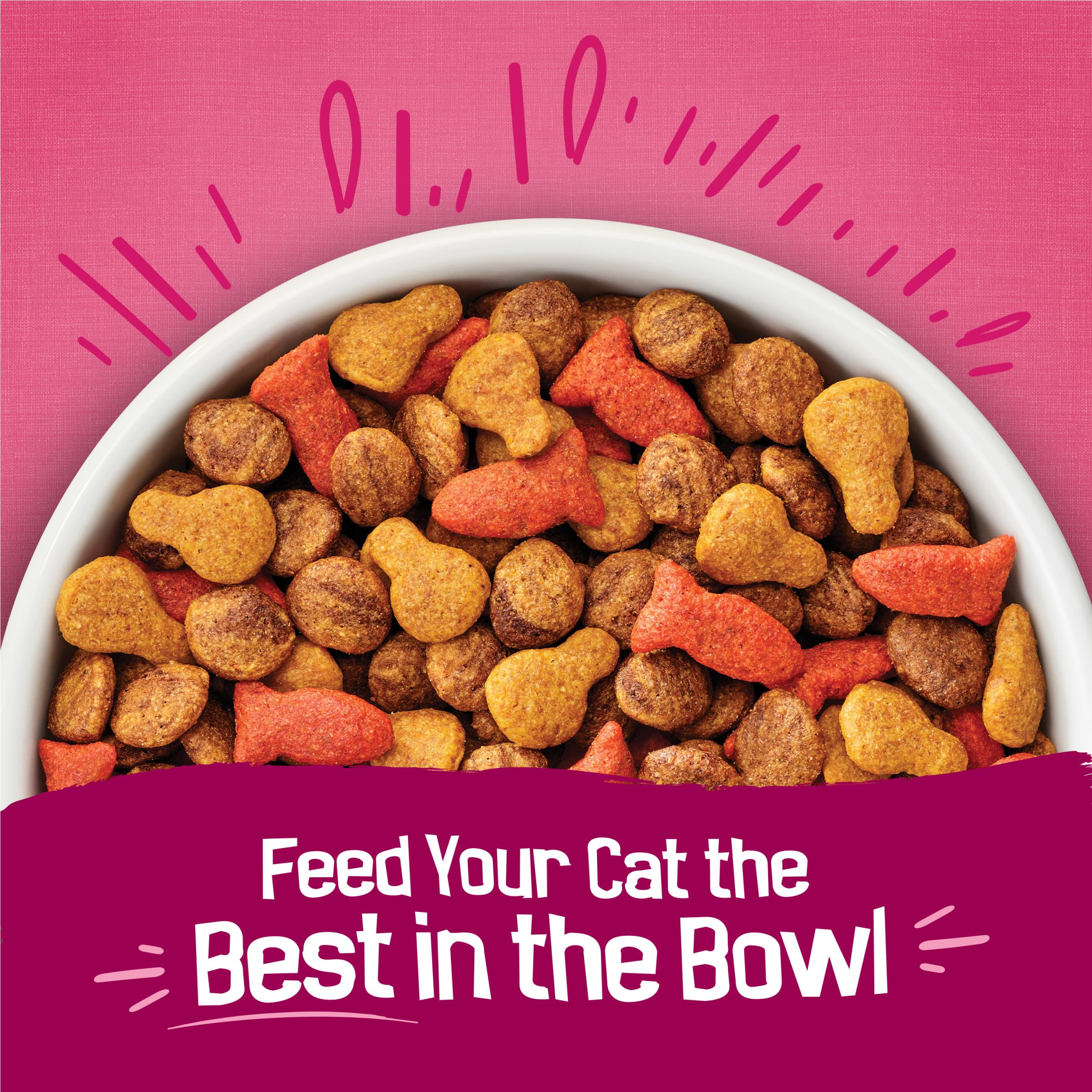 Friskies Gravy Swirlers bowl-serving highlights a flavorful, ready-to-serve option.