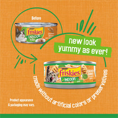 Friskies Indoor Pate Chicken Dinner texture close-up for meal appeal