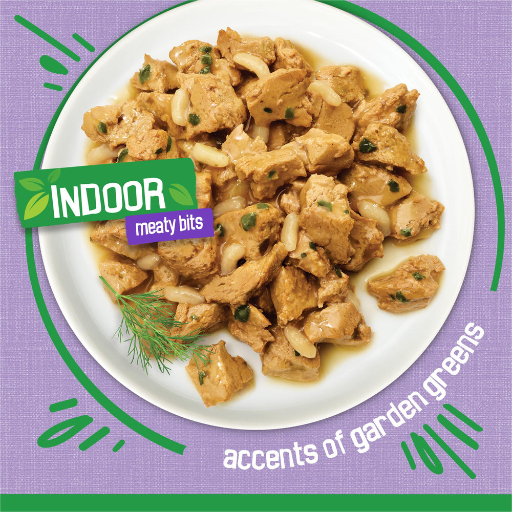 Friskies Indoor Turkey Dinner served in a bowl supports easy mealtime routines.