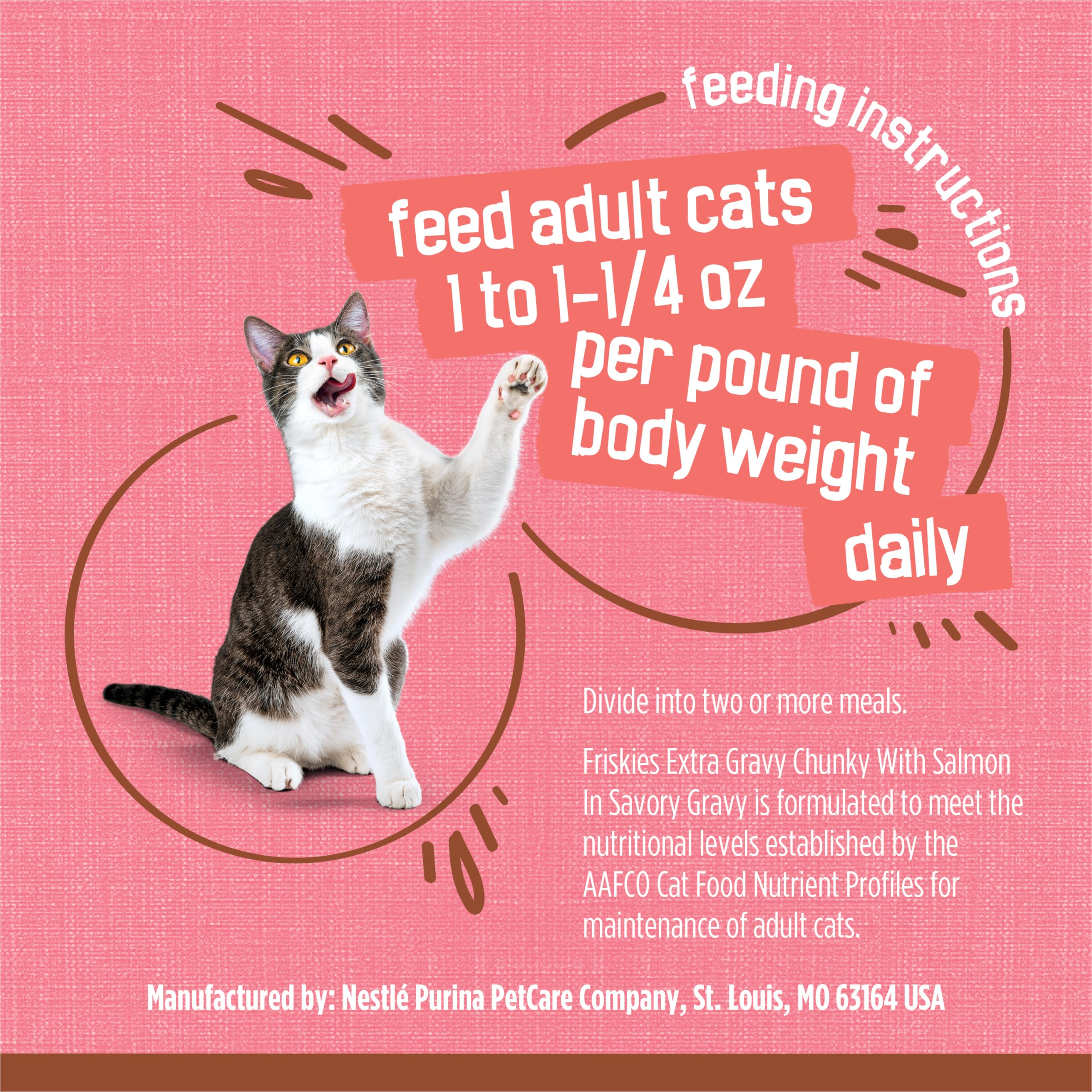 Happy mealtime moment as a cat enjoys Friskies wet food