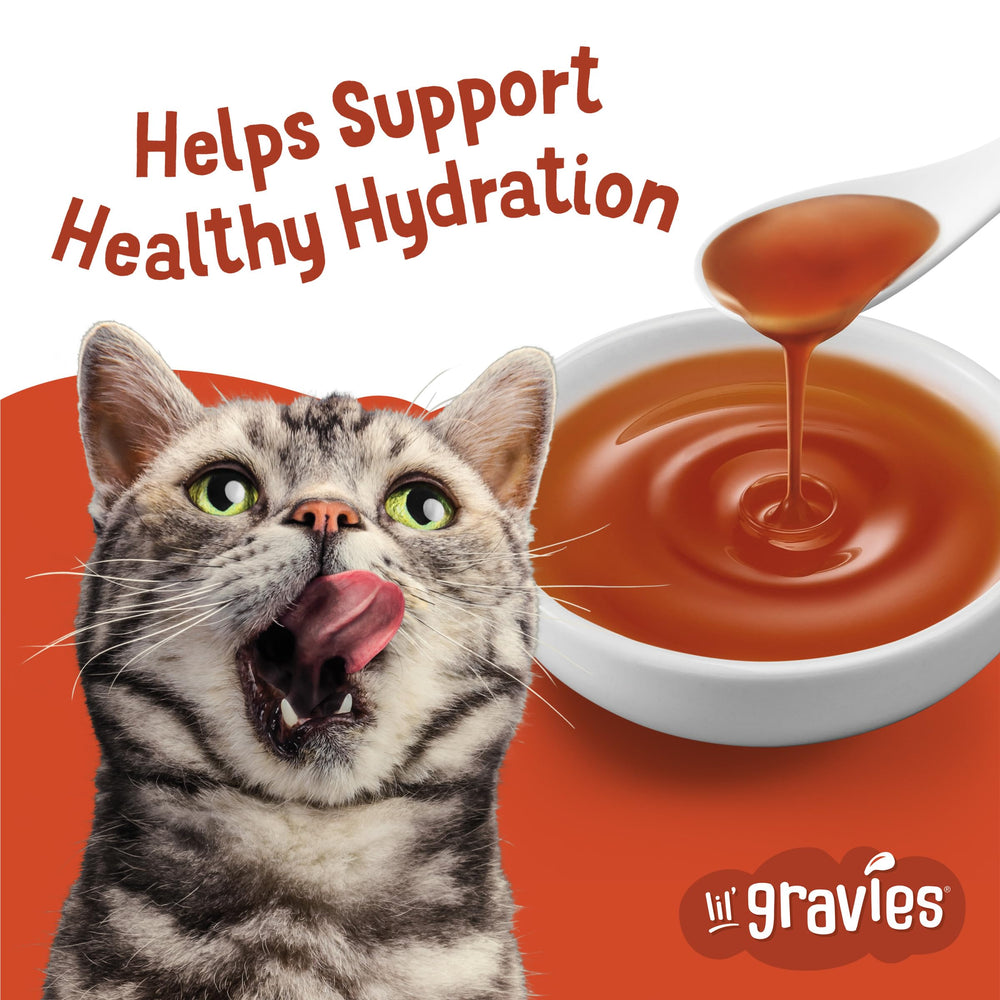 Friskies Lil' Gravies gravy topping on dry food for extra flavor.