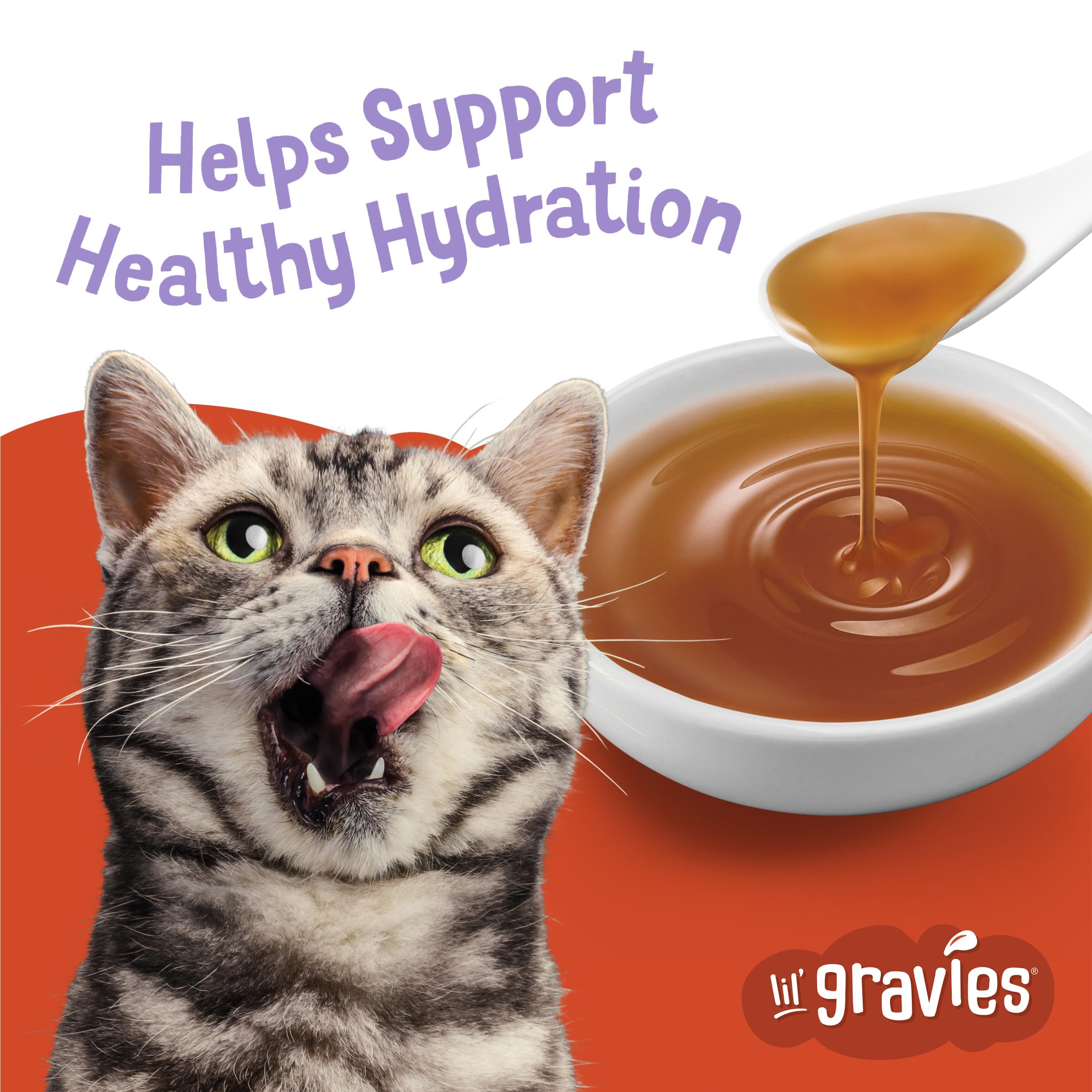 Friskies Lil' Gravies topper on dry kibble enhances texture and taste.