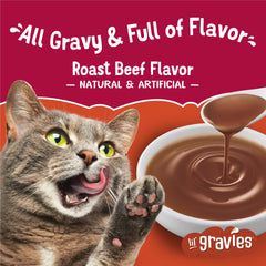 Lil' Gravies topping on dry cat food enhances flavor and moisture.