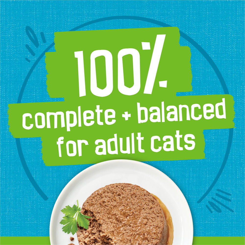 Serving suggestion with Friskies Mariners Catch pate in dish for easy feeding.