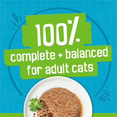 Serving suggestion with Friskies Mariners Catch pate in dish for easy feeding.