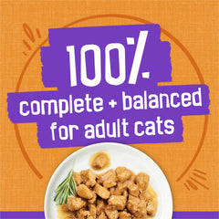 Serving plate with Friskies Meaty Bits demonstrates a flavorful, hydrating meal.